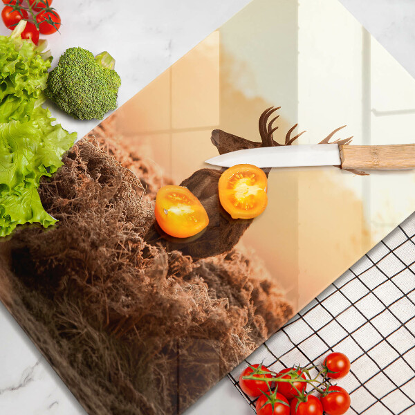 Steklena podloga za rezanje Jeleni na polju