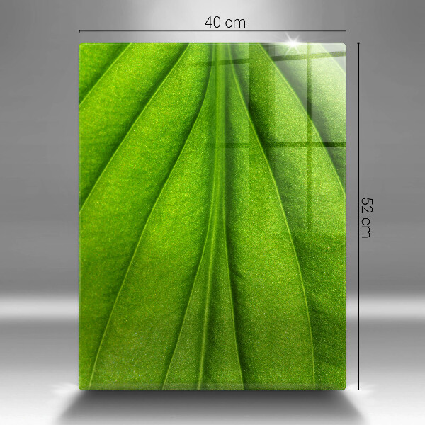 Steklena podloga za rezanje Naravni žilni list