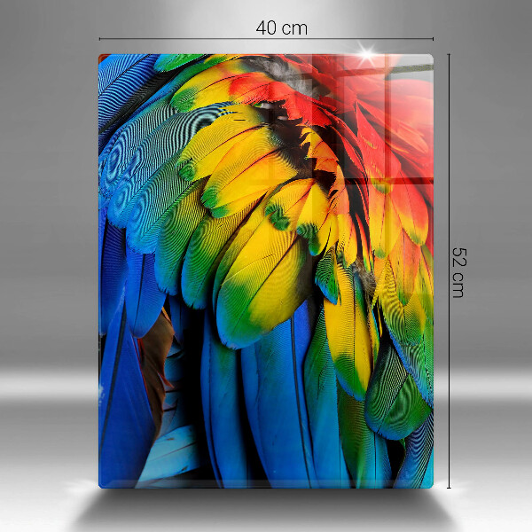 Steklena podloga za rezanje Pisano perje papige