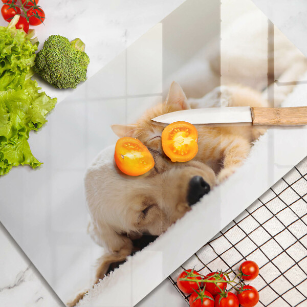 Steklena podloga za rezanje Živali pes in mačka