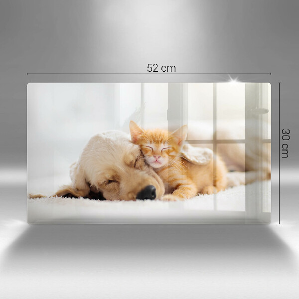 Steklena podloga za rezanje Živali pes in mačka