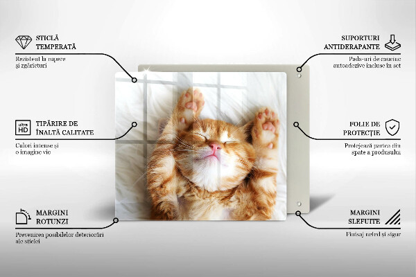 Steklena podloga za rezanje Majhna ljubka mucka