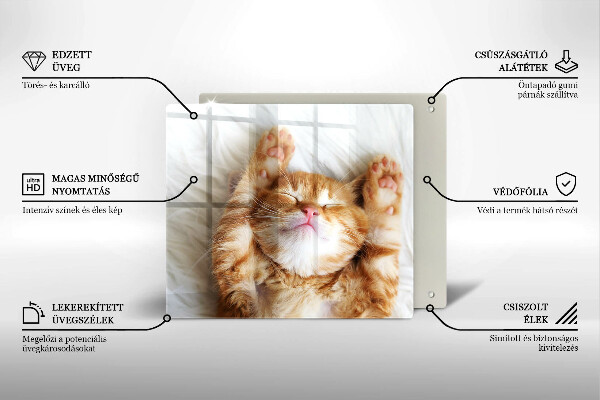 Steklena podloga za rezanje Majhna ljubka mucka