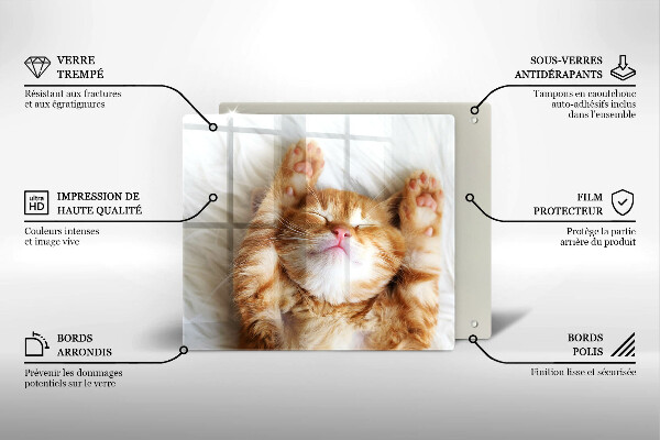 Steklena podloga za rezanje Majhna ljubka mucka