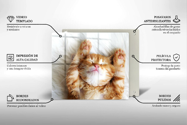 Steklena podloga za rezanje Majhna ljubka mucka