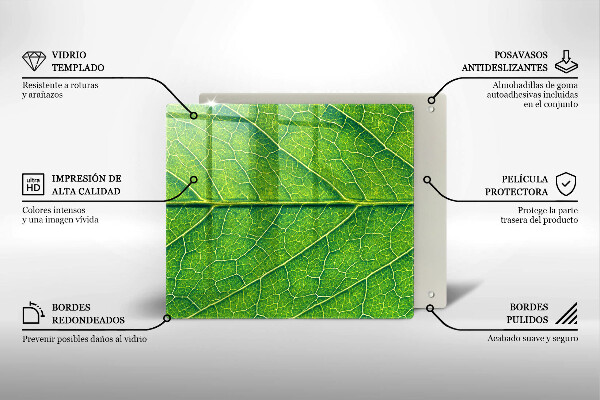 Steklena podloga za rezanje Naravne listne žile
