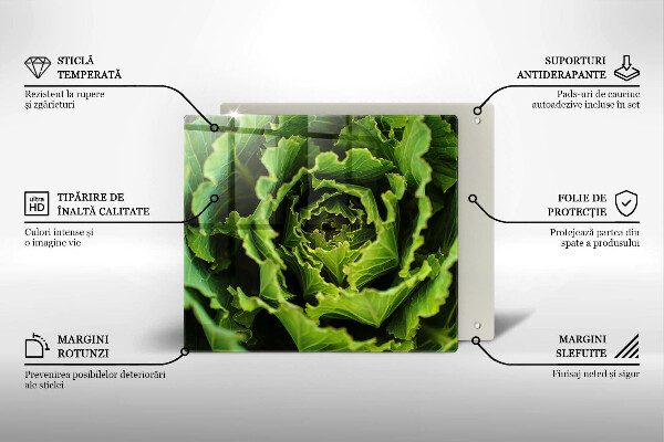 Steklena podloga za rezanje Uživanje listov zelene solate