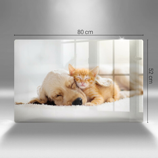 Steklena podloga za rezanje Živali pes in mačka