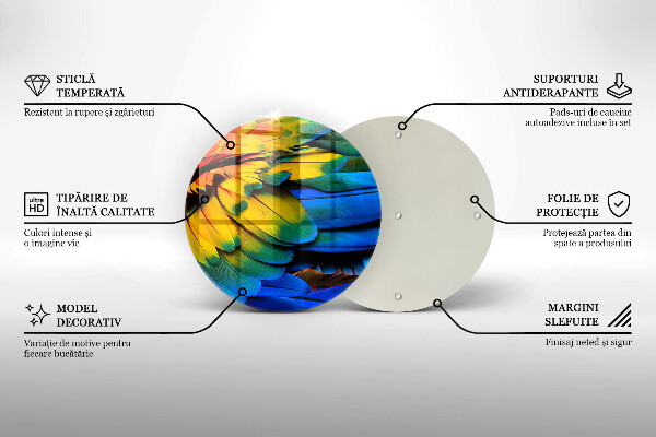 Steklena podloga za rezanje Pisano perje papige