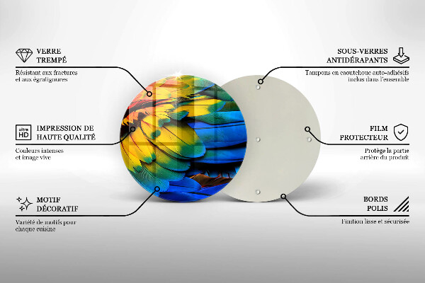 Steklena podloga za rezanje Pisano perje papige