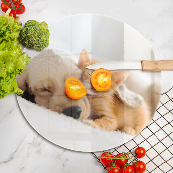 Steklena podloga za rezanje Živali pes in mačka