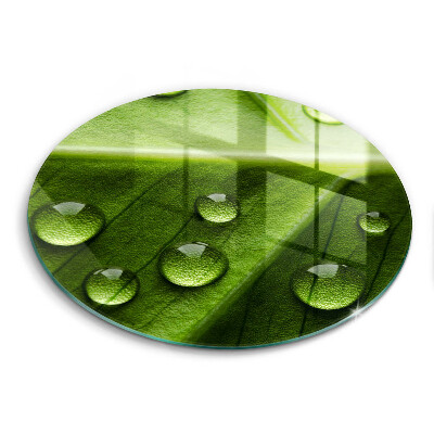 Steklena podloga za rezanje Narava rosa in list