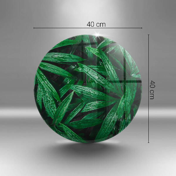 Steklena podloga za rezanje Listi rastlin