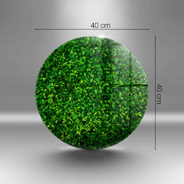 Steklena podloga za rezanje Rastlina z majhnimi listi