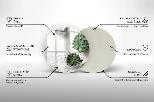 Steklena podloga za rezanje Sukulente na betonu