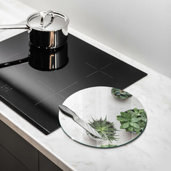 Steklena podloga za rezanje Sukulente na betonu