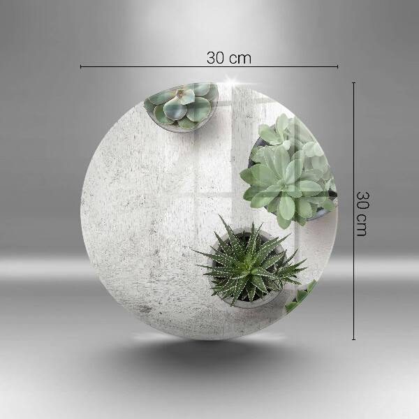 Steklena podloga za rezanje Sukulente na betonu