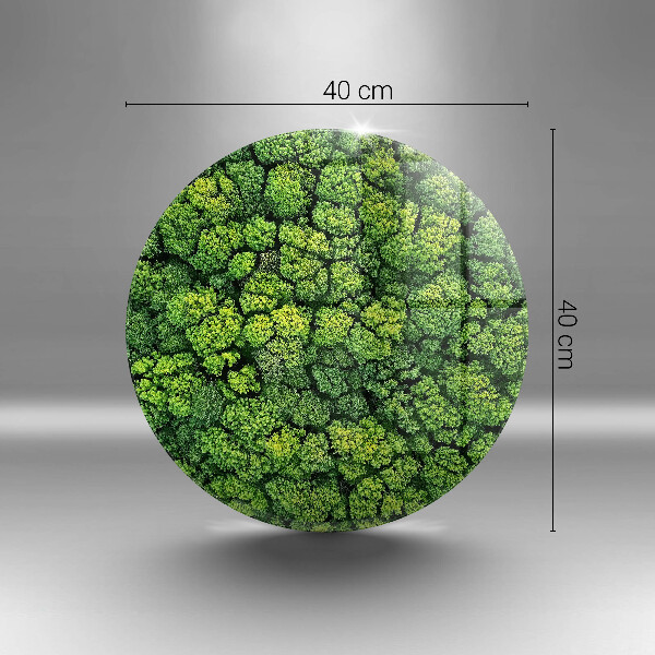 Steklena podloga za rezanje Naravna rastlina mah