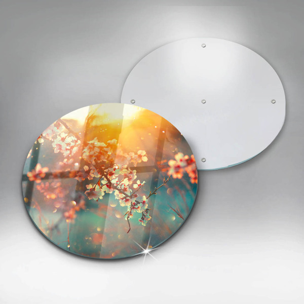 Steklena podloga za rezanje Jabolčni cvetovi na soncu