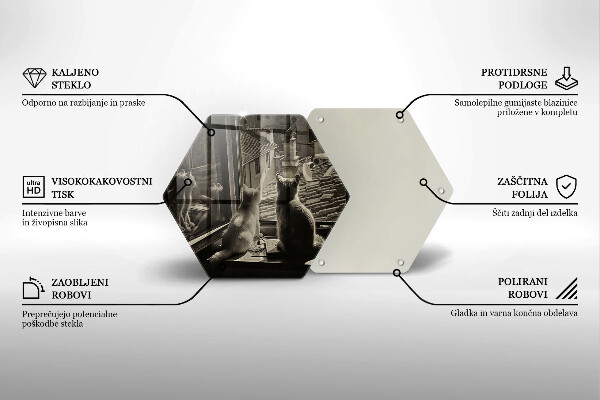 Steklena podloga za rezanje Mačje mesto in okno