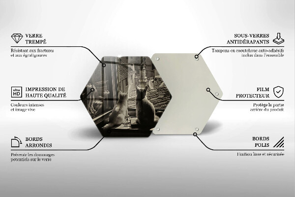 Steklena podloga za rezanje Mačje mesto in okno