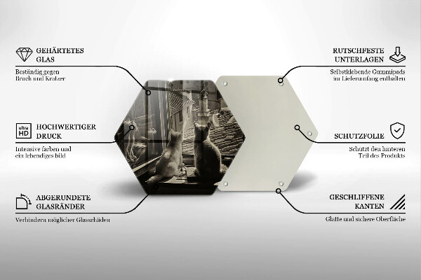 Steklena podloga za rezanje Mačje mesto in okno