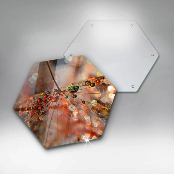 Steklena podloga za rezanje Moker regrat