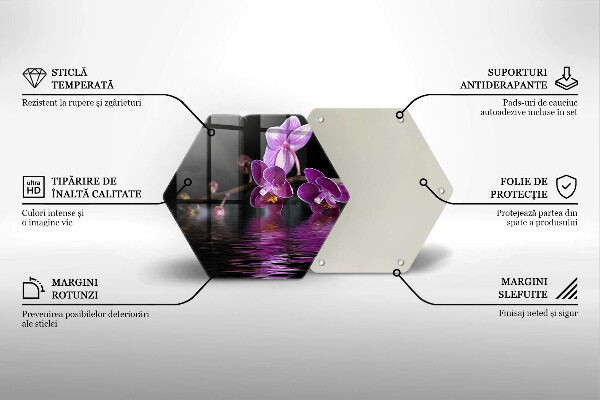 Steklena podloga za rezanje Zen voda za orhideje