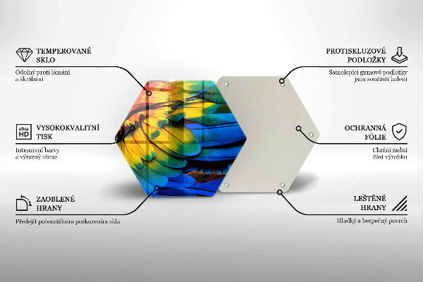 Steklena podloga za rezanje Pisano perje papige