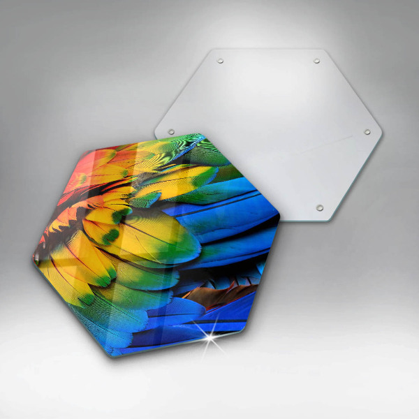 Steklena podloga za rezanje Pisano perje papige