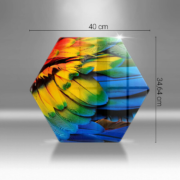 Steklena podloga za rezanje Pisano perje papige