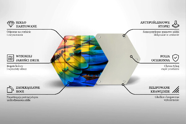 Steklena podloga za rezanje Pisano perje papige