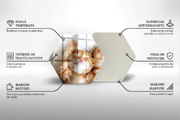 Steklena podloga za rezanje Majhna ljubka mucka