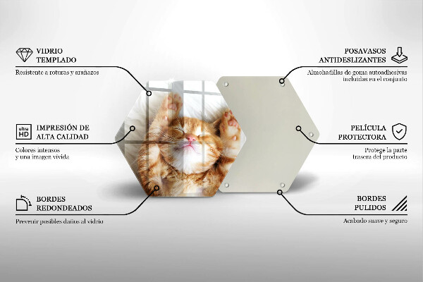 Steklena podloga za rezanje Majhna ljubka mucka