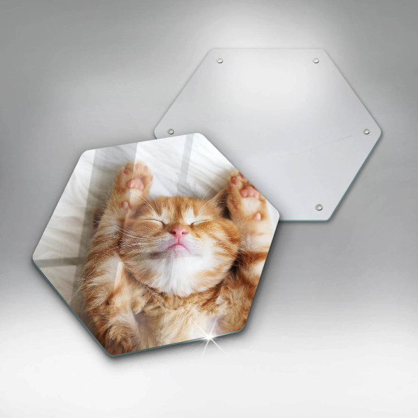 Steklena podloga za rezanje Majhna ljubka mucka