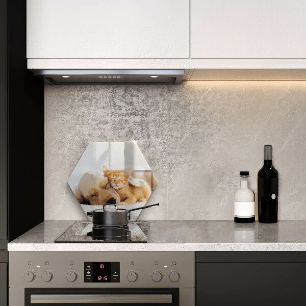 Steklena podloga za rezanje Živali pes in mačka