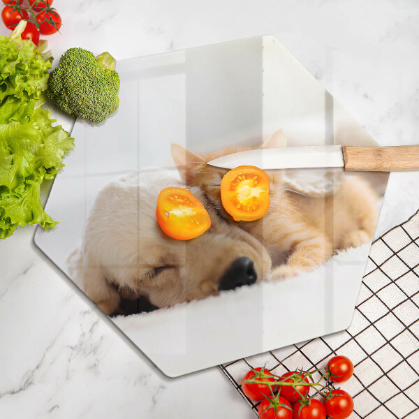 Steklena podloga za rezanje Živali pes in mačka