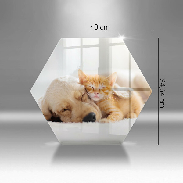 Steklena podloga za rezanje Živali pes in mačka