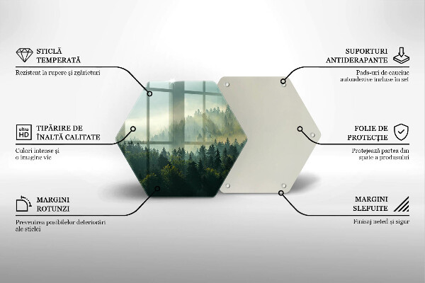 Steklena podloga za rezanje Krajinski pogled na gozd