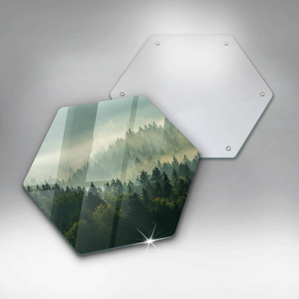 Steklena podloga za rezanje Krajinski pogled na gozd