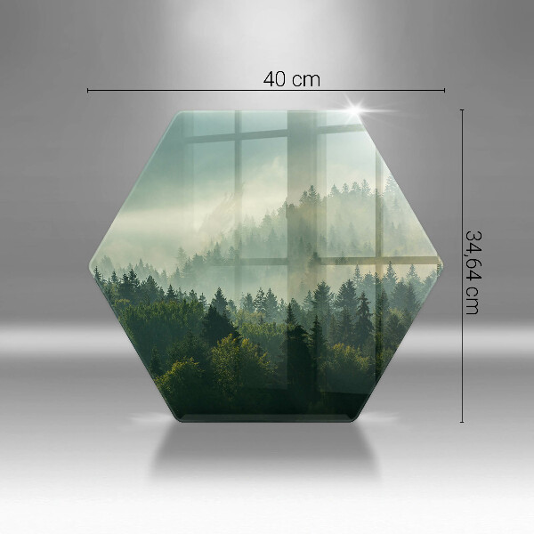 Steklena podloga za rezanje Krajinski pogled na gozd