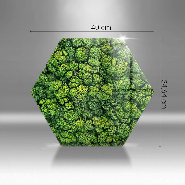 Steklena podloga za rezanje Naravna rastlina mah