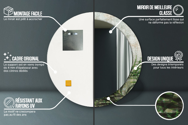 Okrasno ogledalo Praproti