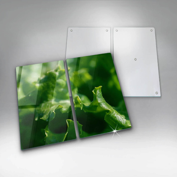 Zaščitna plošča za štedilnik Solatni listi