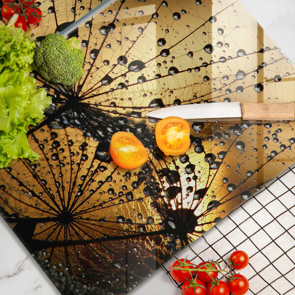 Zaščitna plošča za štedilnik Rosa in regrat