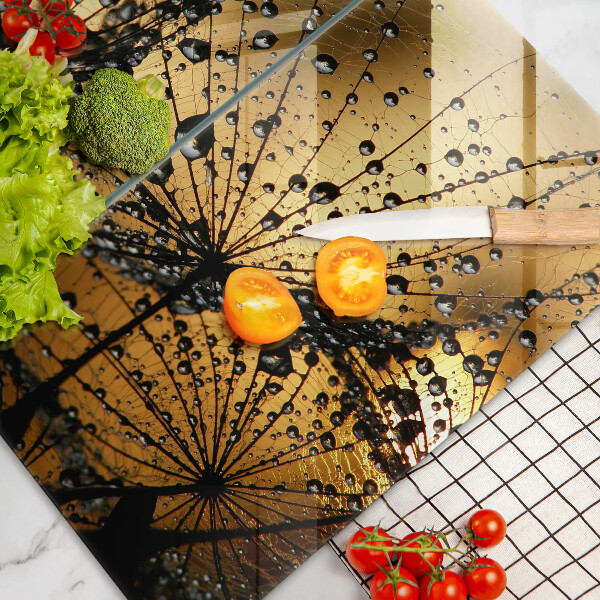 Zaščitna plošča za štedilnik Rosa in regrat