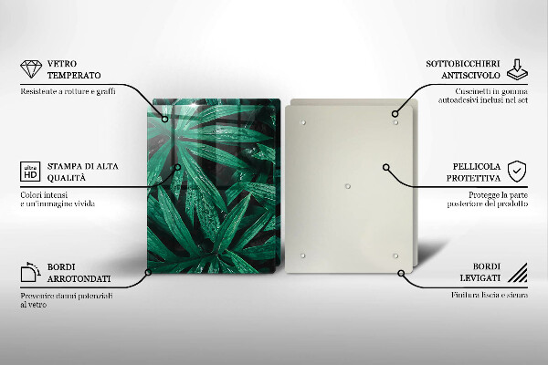 Zaščitna plošča za štedilnik Listi rastlin