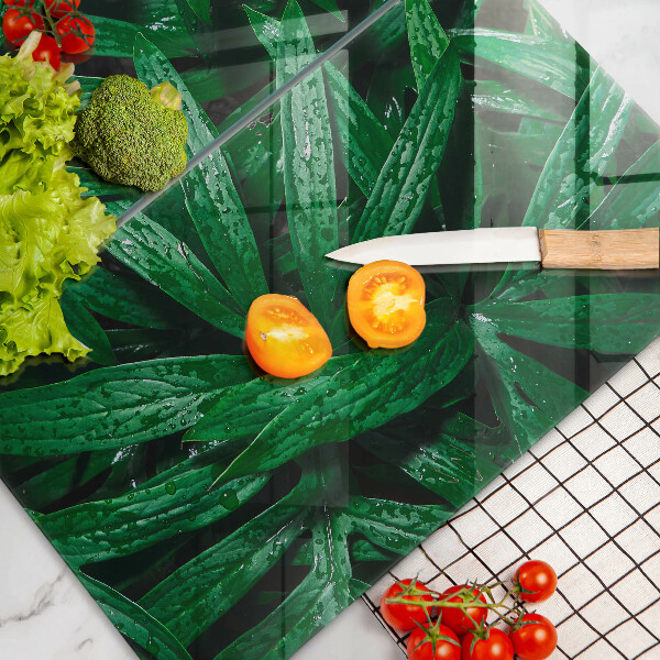 Zaščitna plošča za štedilnik Listi rastlin