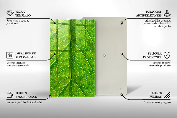 Zaščitna steklena plošča za štedilnik Naravne listne žile