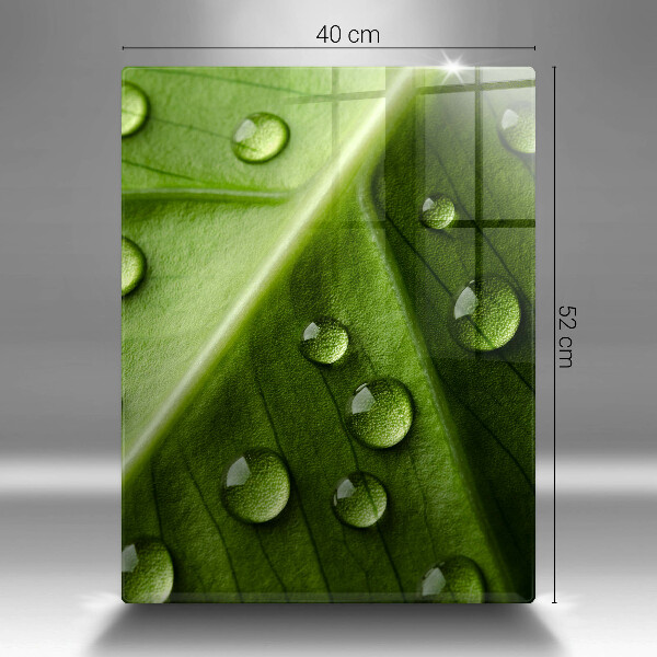 Zaščitna plošča za štedilnik Narava rosa in list